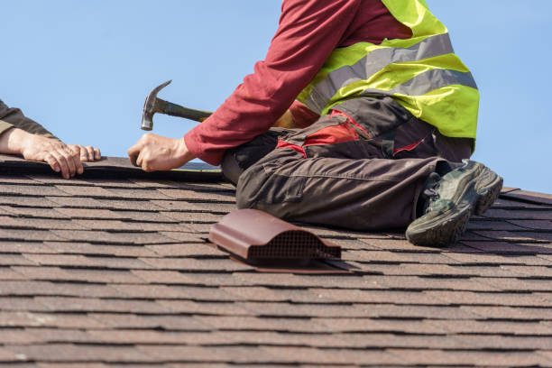Best Roof Waterproofing Services  in Trenton, IL
