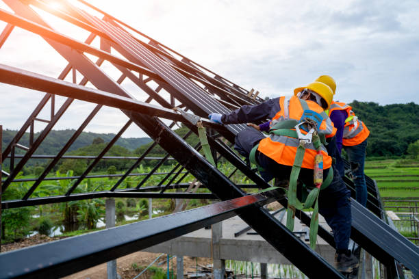 Best Storm Damage Roof Repair  in Trenton, IL