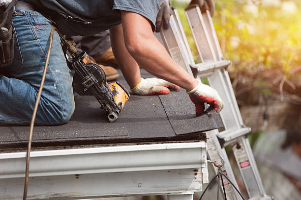 Best New Roof Installation  in Trenton, IL
