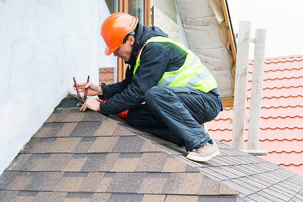 Best Roof Inspection Near Me  in Trenton, IL