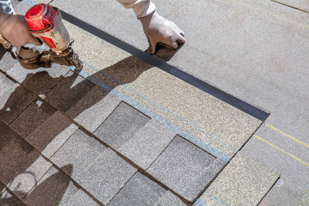 Best Roof Gutter Cleaning  in Trenton, IL